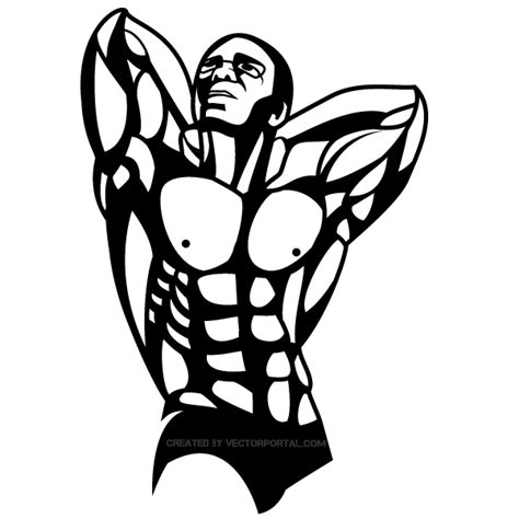 Bodybuilder Vector Graphics | Download Free Vector Art | Free-Vectors