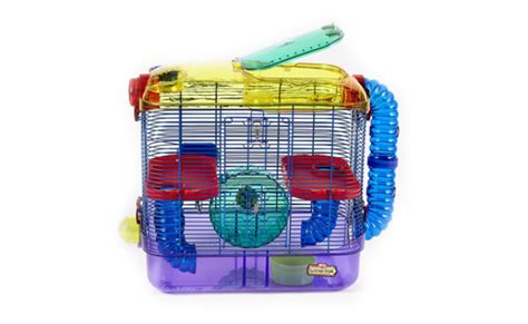 The Best Gerbil Cages in 2022 | My Pet Needs That