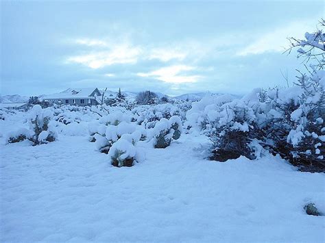 Freezing air streams into northern Arizona | Kingman Daily Miner | Kingman, AZ