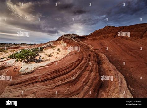 White Pocket rock formations, Vermilion Cliffs National Monument, Arizona, USA Stock Photo - Alamy