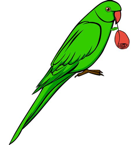 Parrot Clipart - ClipArt Best