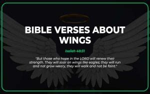 21 Bible Verses About Wings (With Commentary) - Scripture Savvy