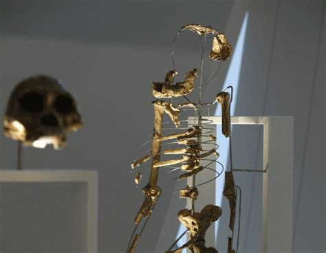 Who is Lucy the Australopithecus? Five facts you might not know about ...