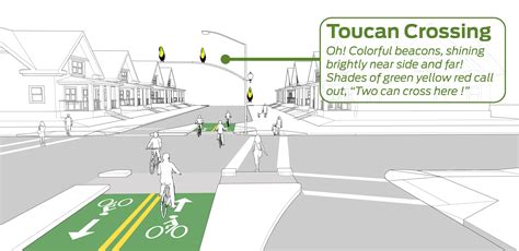 NACTO Releases Field Guide to the Flora and Fauna of Urban Streets | National Association of ...