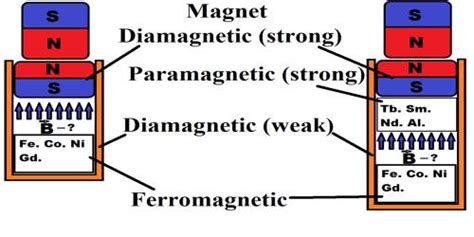 Explain Properties of Diamagnetic Substances - QS Study