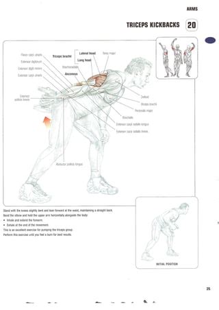 Strength Training Anatomy 2nd Edition