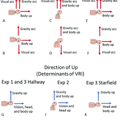 The translucent Ganzfeld goggles used in this experiment and an... | Download Scientific Diagram