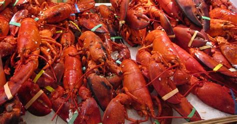 The 10 Best Lobster Restaurants In Maine