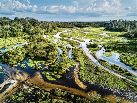 African Parks' Impact on Achieving the UN Sustainable Development Goals | African Parks