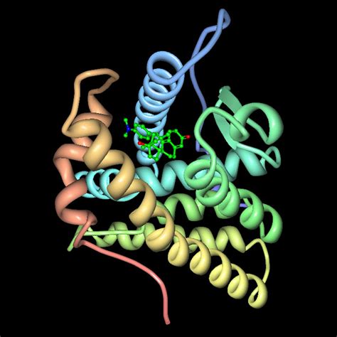 What are the important characteristics of the progesterone-receptor binding site?