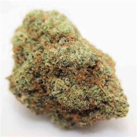 Rainbow Sherbet Strain | Rainbow Sherbet Seeds From