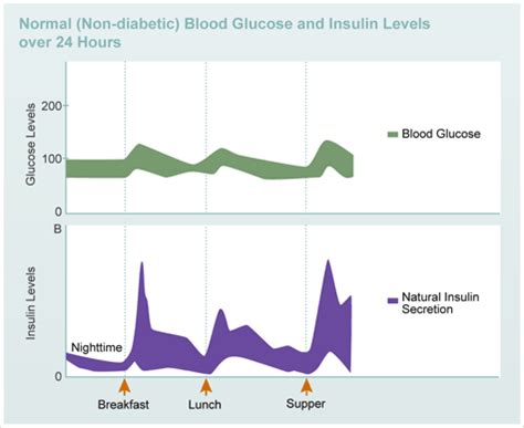 Controlling Blood Sugar - Diabetes Education Online