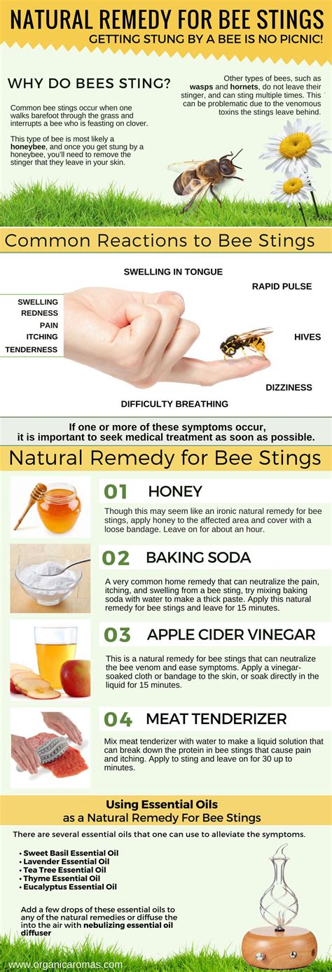 How To Get Rid Of Bee Stings - Crazyscreen21