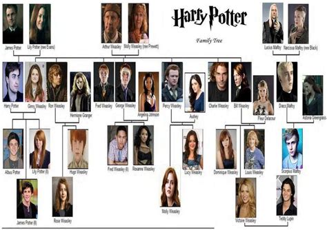 Harry Potter Imagines (Vol. 1) | Harry potter family tree, Harry potter characters names, Harry ...