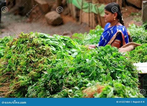 Girl seller at market. editorial stock image. Image of herb - 41227484