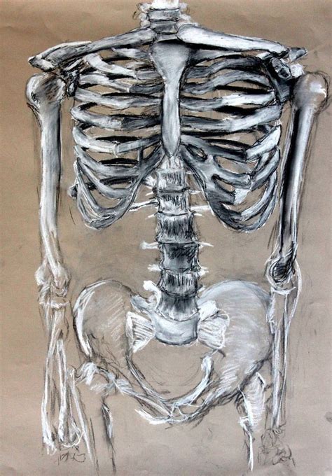 Image result for skeletons art project gcse | Skeleton drawings, Skeleton art, Art inspiration