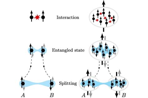 Experiment shows Einstein-Podolsky-Rosen paradox scales up