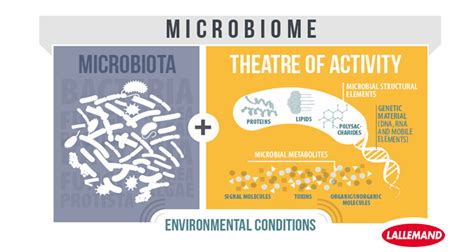 Microbiota or microbiome? | Lallemand Animal Nutrition