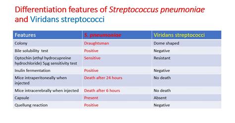 streptococcus pneumoniae versus Viridans streptococci