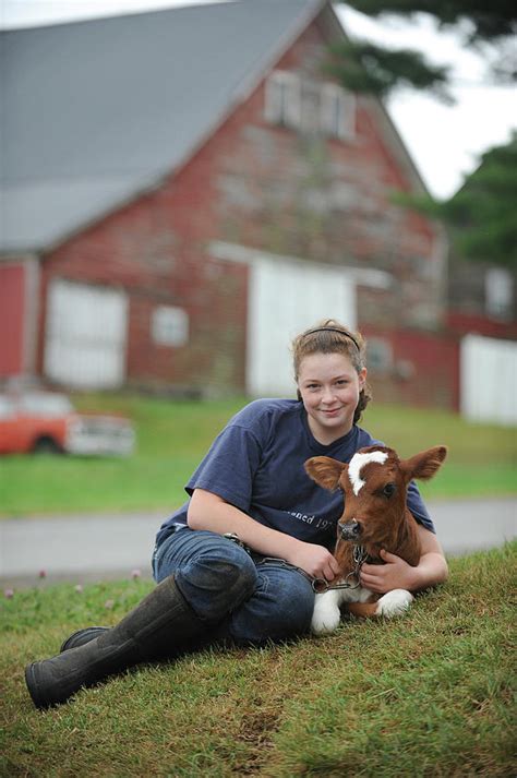 Daily Life On An Organic Dairy Farm Photograph by Brian Fitzgerald - Fine Art America