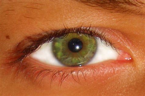 File:Green Eye.jpg - Wikipedia