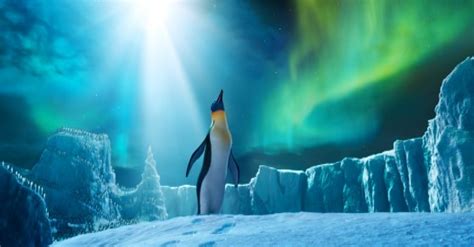 Love can Build us Bridge of Light - Happy Feet Photo (29832484) - Fanpop