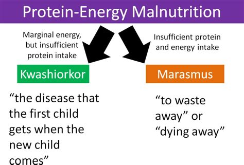 6.5 Diseases Involving Proteins – Principles of Human Nutrition