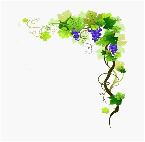 Transparent Vine Plant Clipart - Grape Vine Border Png, Png Download ...