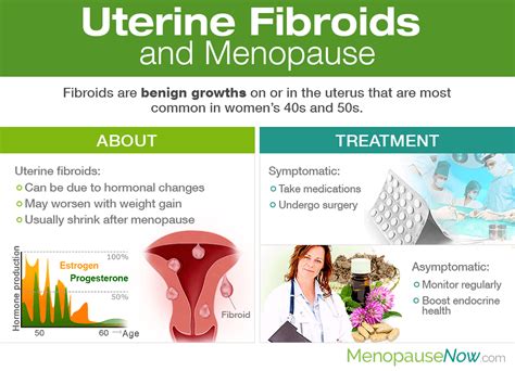 Fibroids In Uterus Symptoms After Menopause | My XXX Hot Girl