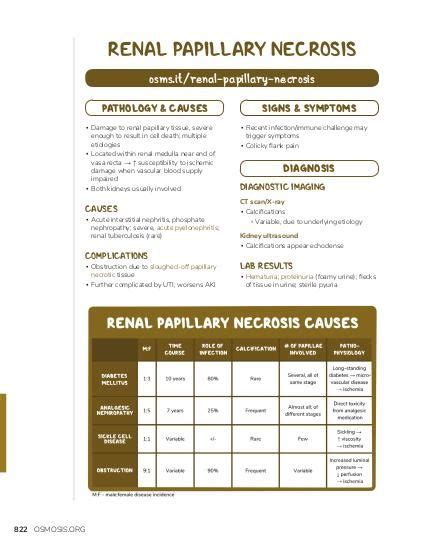 Renal papillary necrosis | Osmosis