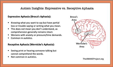 Aphasia: Types, Causes, Symptoms Treatment, 56% OFF