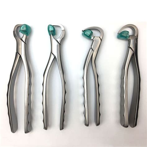 Extraction Forceps Dental - Lower Molar Dental Extraction Forceps For Clinical Rs 350 Piece Id ...