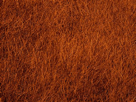 Brown Texture Background Free Stock Photo - Public Domain Pictures