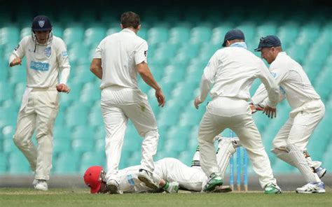 Cricket Ball- History, Colour, Ball Manufacturer, Tampering & Dangers ...