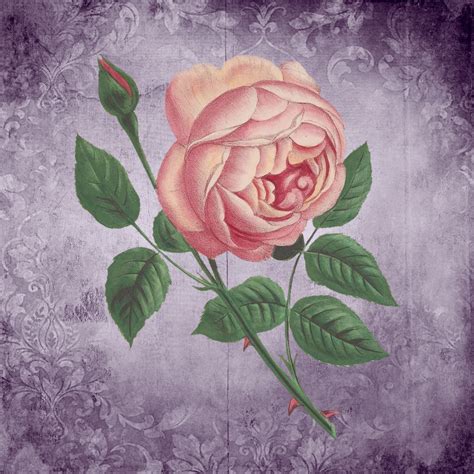 Vintage Floral Rose Art Free Stock Photo - Public Domain Pictures