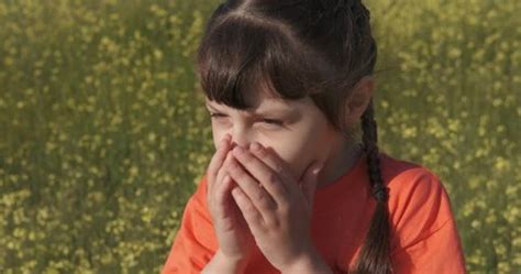 242 Little Girl Nose Allergic Stock Video Footage - 4K and HD Video Clips | Shutterstock