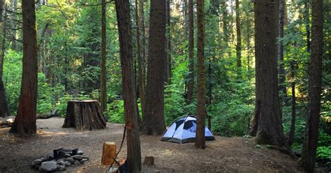 Camp at Nelder Grove Campground in Sierra National Forest, Nelder Grove ...