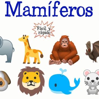 Los mamíferos - Los mamíferos - Podcast en iVoox