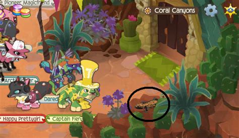 Animal Jam Community Blog: Coral Canyons Journey Book Cheats