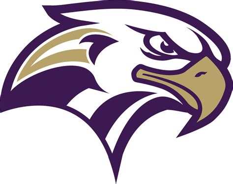 Purple Hawk Logo