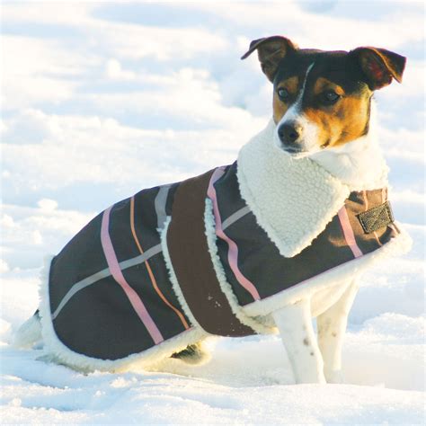 Fleece Lined Winter Dog Coats - Tradingbasis