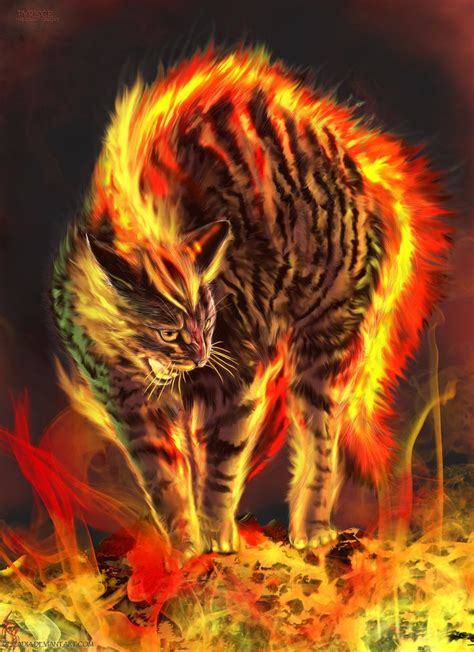 a cat walking across a fire covered ground