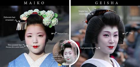 Understanding the Geisha of Japan: Myths & Facts – I am Aileen