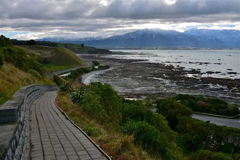 Kaikoura Peninsula Walkway: South Marlborough tracks and walks