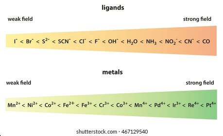 9 Strong field ligands 图片、库存照片、3D 物体和矢量图 | Shutterstock