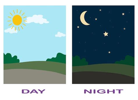 Premium Vector | Opposite adjective antonym words day and night illustration explanation ...