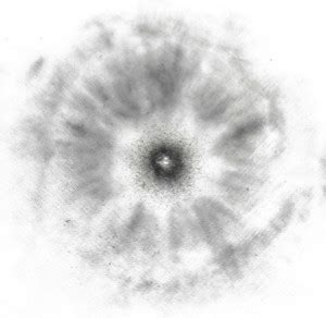 Gunshot Residue (Distance Determination) - Forensic Assurance