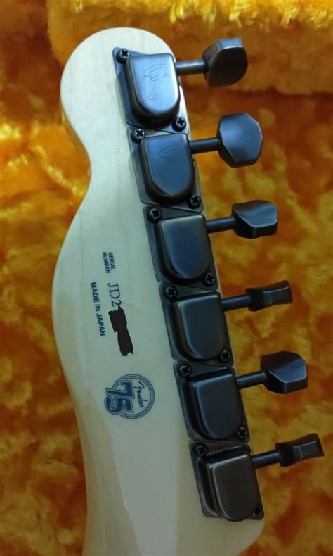 Fender Telecaster Neck, Hobbies & Toys, Music & Media, Musical ...