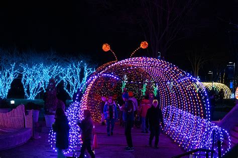 How to Enjoy NC Arboretum Winter Lights (10 Important Tips!)