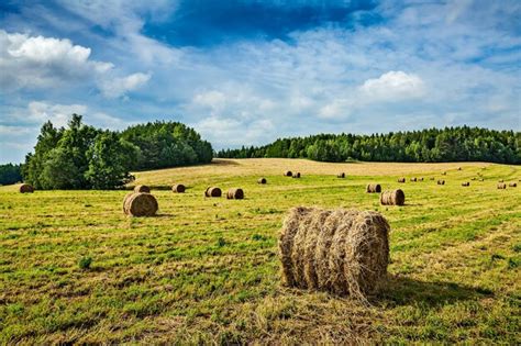 Premium Photo | Hay bales on field